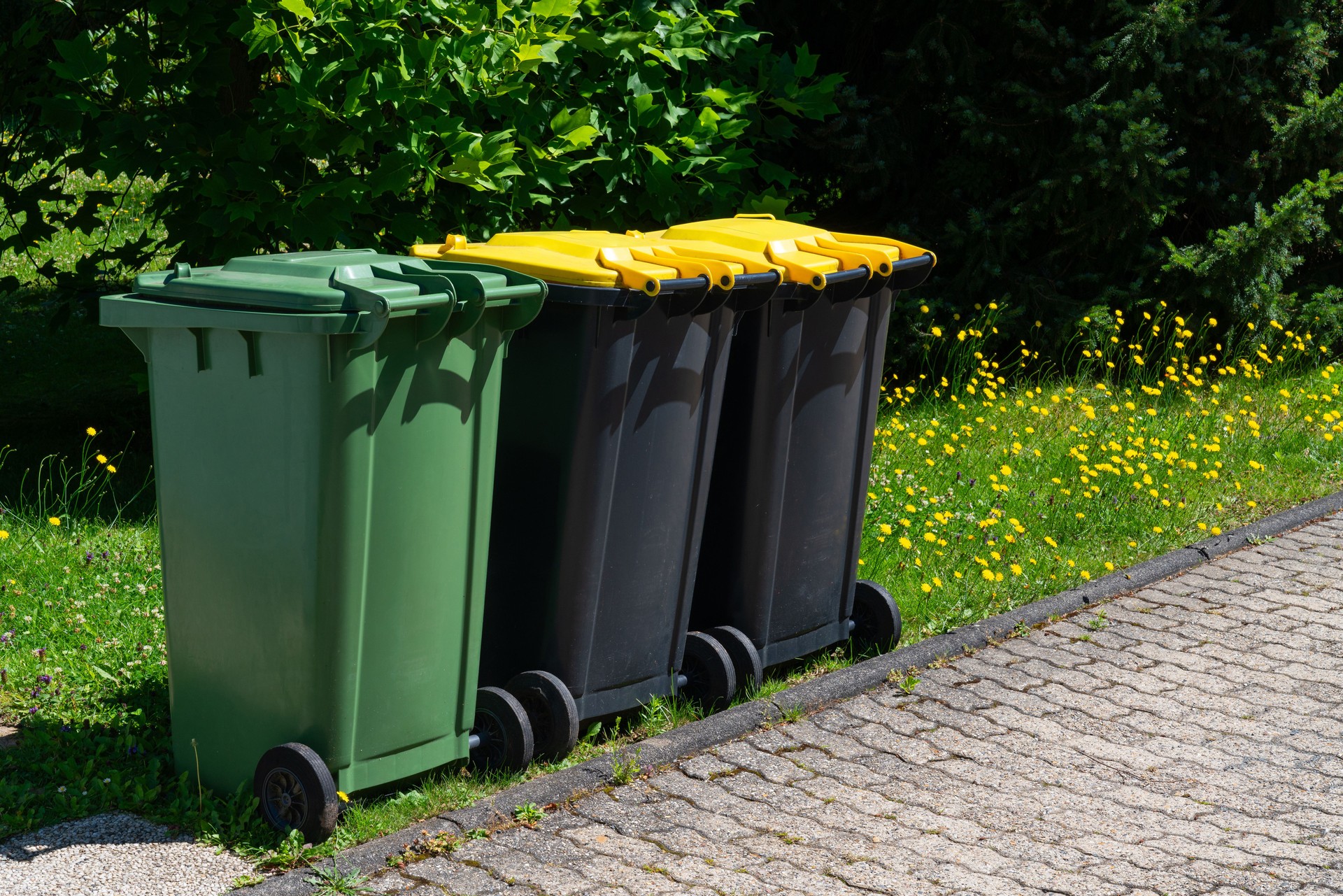 Green and yellow recycling bins on curb